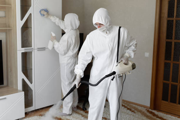 Best Attic Mold Removal  in Huntsville, AR